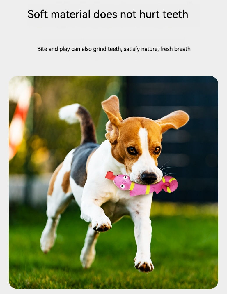 Toy New Product Latex Tongue Squeezing Lizard Crocodile Squeezing and Making Sounds Funny and Soothing Dog Toys