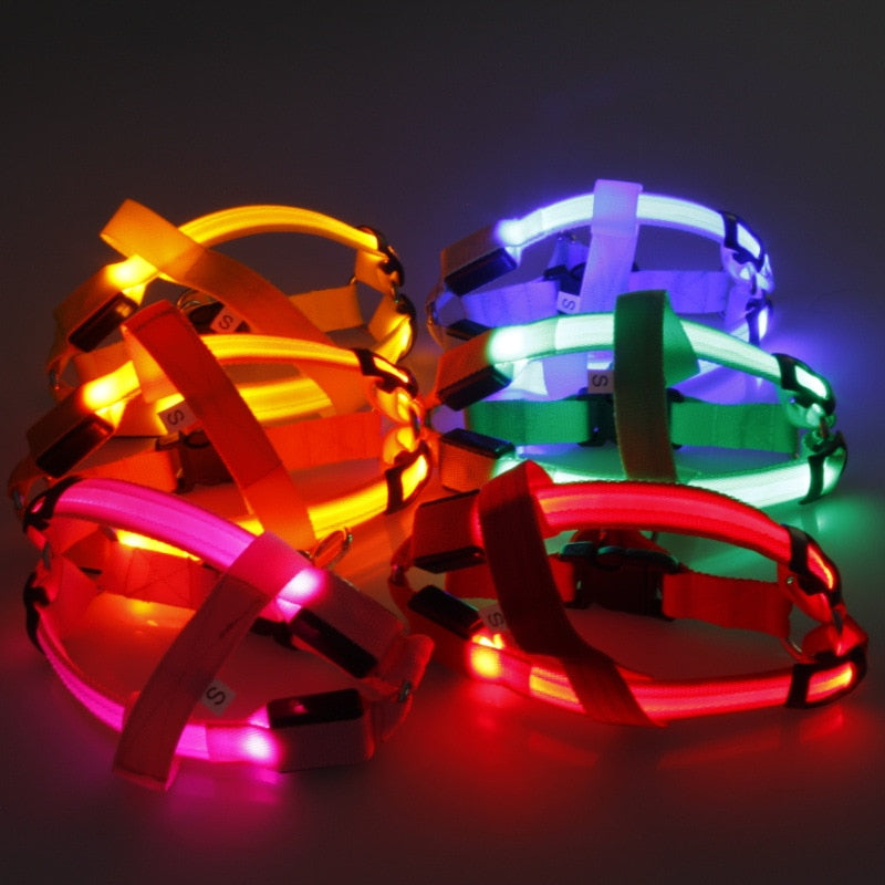 Nylon Pet Safety LED Harness Dog Product Flashing Light Harness Dog Harness Leash Rope Belt