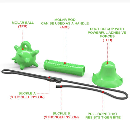 Pet supplies new product sucker dogs toy molar bite resistant club buy 1 top 4 sets